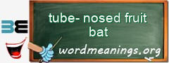 WordMeaning blackboard for tube-nosed fruit bat